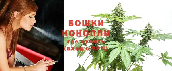 ПСИЛОЦИБИНОВЫЕ ГРИБЫ Елабуга